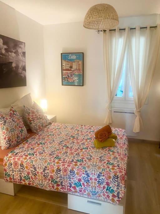 Appartement Neuf Cosy Centre Ville Quartier Haut Sete Luaran gambar